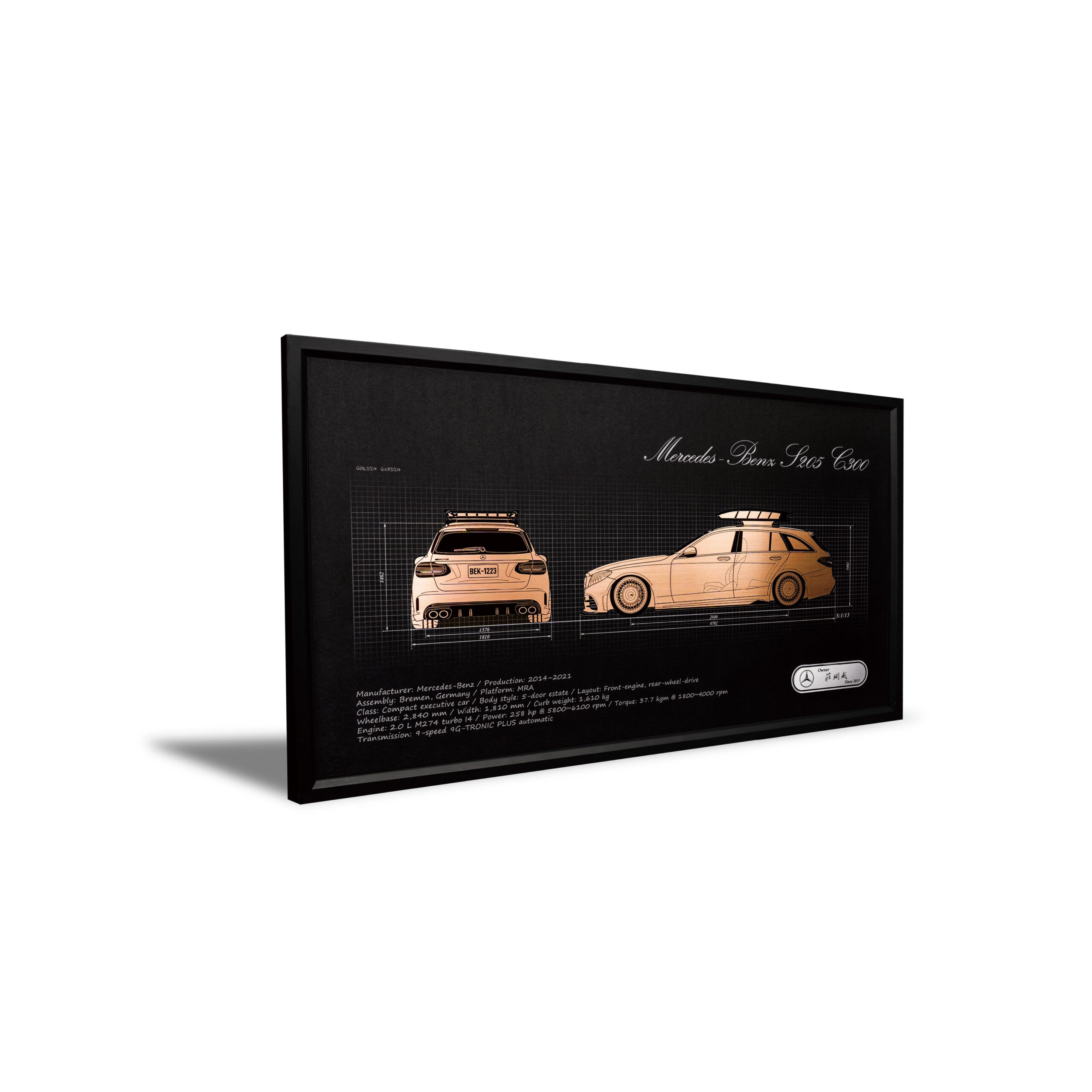 Memory-Preserving Automotive Art Front & Side View Edition